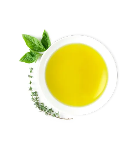 Le caratteristiche dell'olio